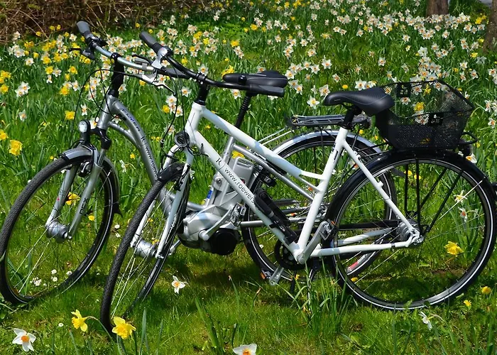 Hotel Roewers Privathotel & 5*